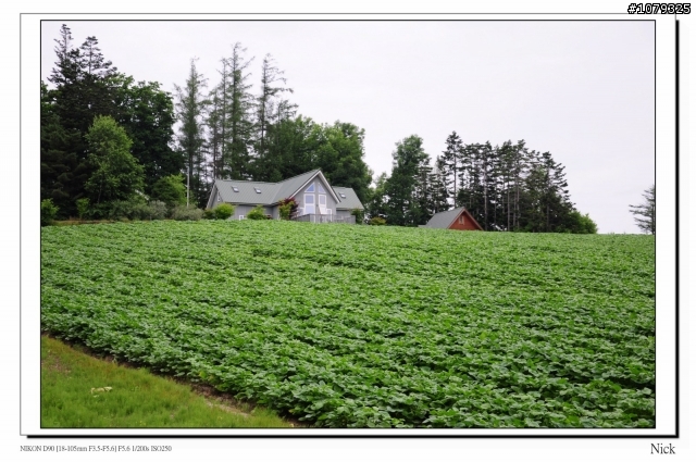 D90 18-105+ T116 北海道八天七日遊