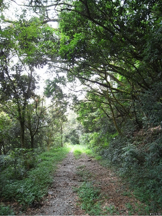 沙溪林道-熱與樂!