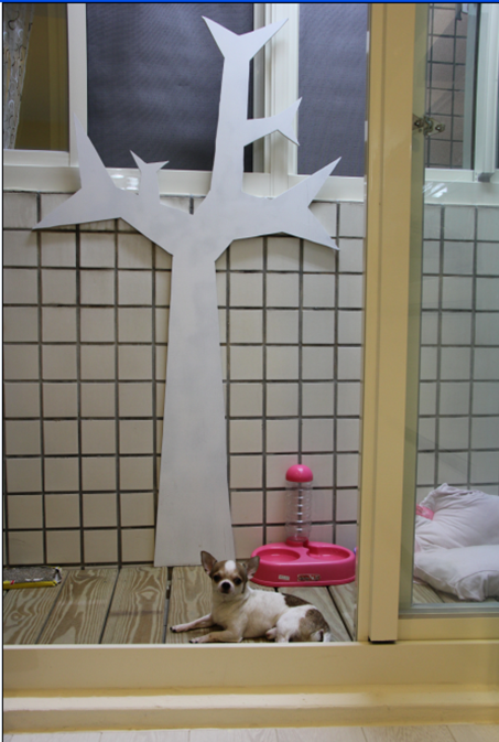 [開箱]JC's HOME 幸福空間_中古屋大改造
