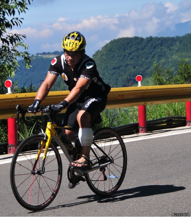 2011 ●  跳 跳 虎 在 武 嶺 ● 照片再次呈獻 08/26上傳