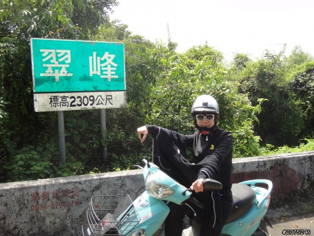金牌妹50cc買菜車 衝武嶺之高麗菜篇