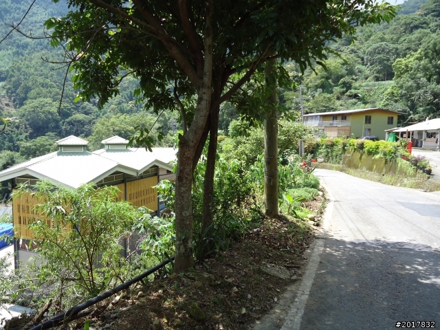 8/15阿里山部落之旅(里佳部落.達邦部落.特富野部落)