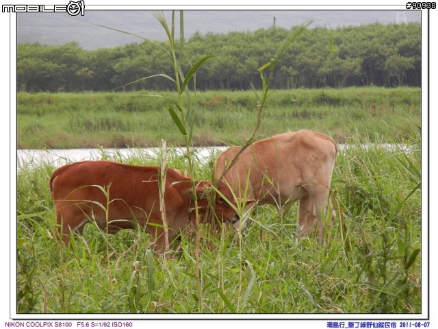 幸福家庭與VOLVO 960 之環島趴趴走 - - Day4 墾丁 - 台中( 2011.08.07 )
