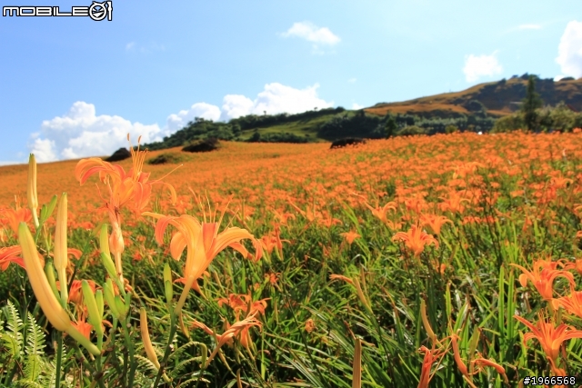 2011六十石山特輯-BY 60D