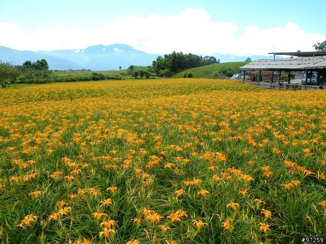 2011/08/16~18  大男子3天3夜環半島 赤科山+六十石山賞金針遊記分享
