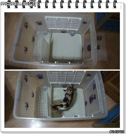 DIY 貓沙屋