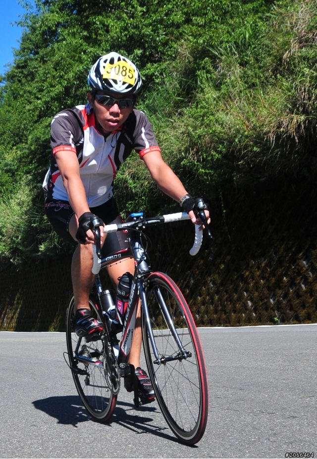2011 ●  跳 跳 虎 在 武 嶺 ● 照片再次呈獻 08/26上傳
