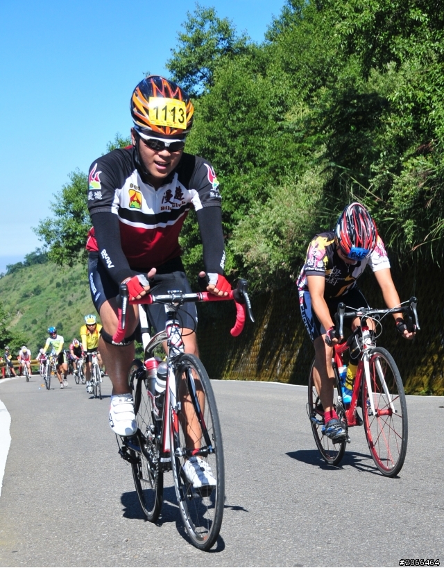 2011 ●  跳 跳 虎 在 武 嶺 ● 照片再次呈獻 08/26上傳