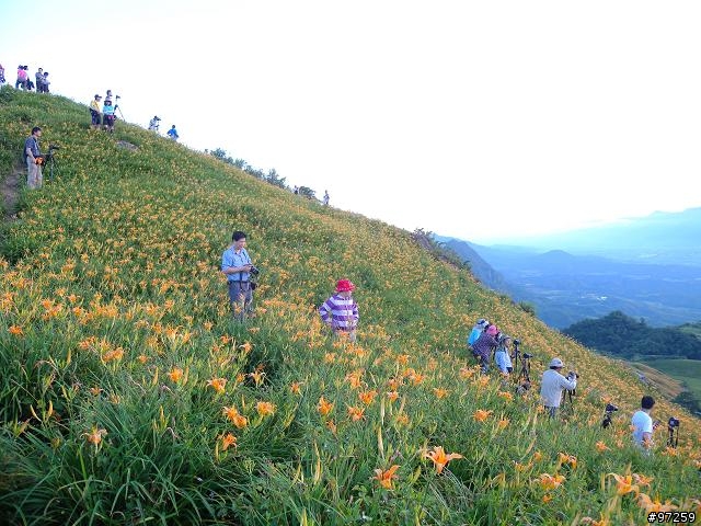2011/08/16~18  大男子3天3夜環半島 赤科山+六十石山賞金針遊記分享