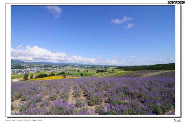 D90 18-105+ T116 北海道八天七日遊