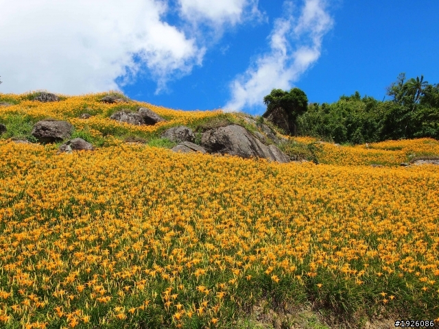 哈雷-花東之旅(197縣道/六十石山/布洛灣)20110819-21