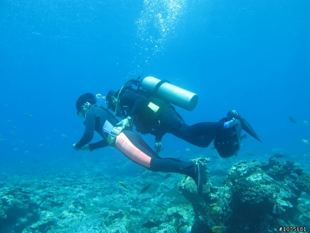 【分享】碧海藍天綠島行