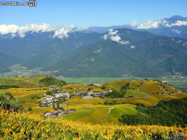 六十石山-金針花海~ 世界末日前一定要來一次的!