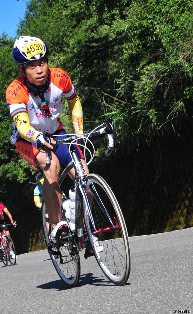 2011 ●  跳 跳 虎 在 武 嶺 ● 照片再次呈獻 08/26上傳