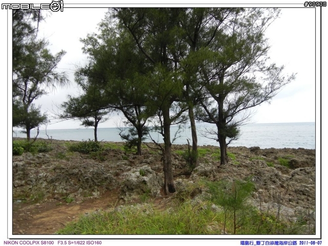 幸福家庭與VOLVO 960 之環島趴趴走 - - Day4 墾丁 - 台中( 2011.08.07 )