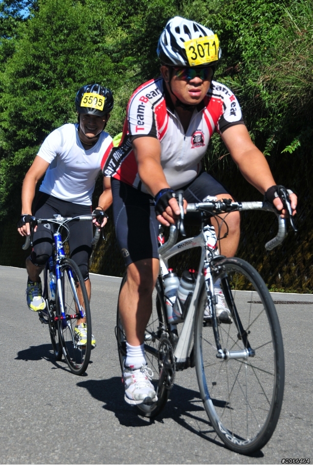 2011 ●  跳 跳 虎 在 武 嶺 ● 照片再次呈獻 08/26上傳