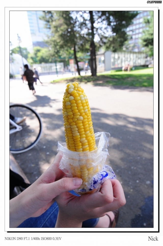 D90 18-105+ T116 北海道八天七日遊