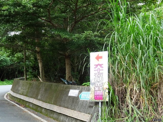 花東+合歡山之旅