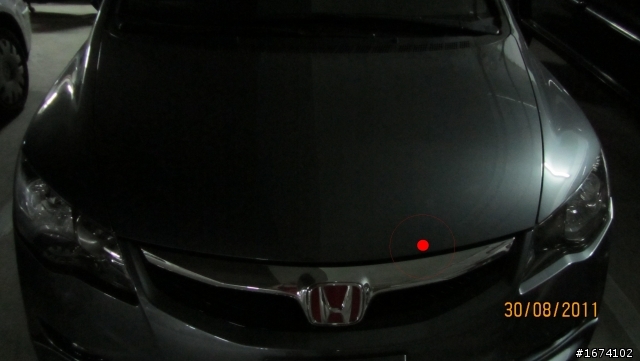 我的小灰受傷了@@"請各位大大提供一下意見 感謝你