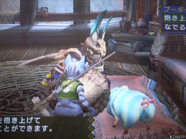 魔物獵人3rd 入手分享