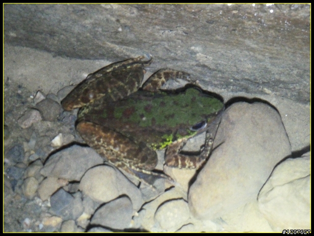 2011.09.11_再入獨立山鐵路隧道，驚見......