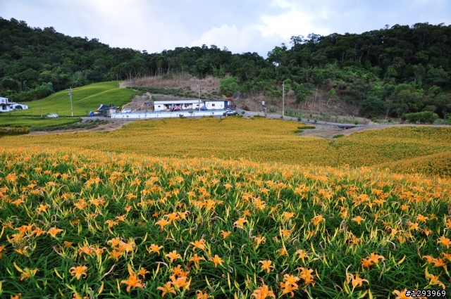 追風少年少女~~六十石山、赤科山