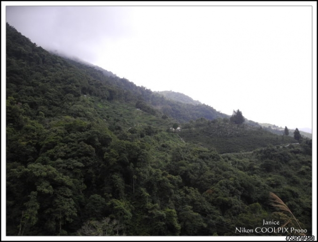 【０９０３ 力行-紅香 坎坷跑跑團】之路況好威猛