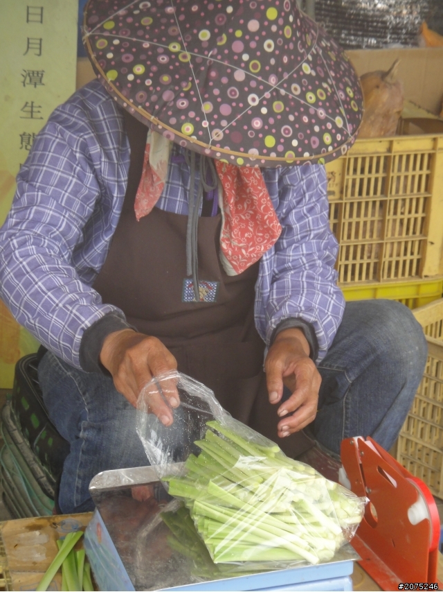 金牌妹~嚮往的金針花海~我來了^^~