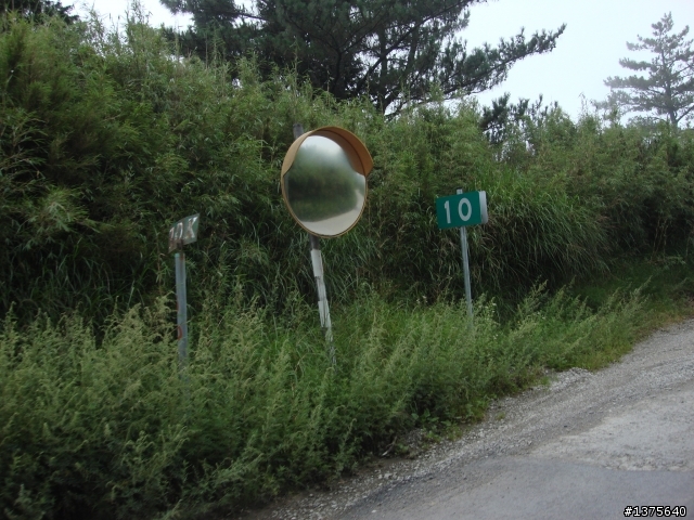 【開箱文】熱血硬漢之苗栗 → 竹東 → 觀霧 / 樂山.......男子漢自由行