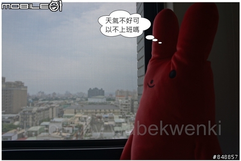 【開箱】阿霞 & 二百五的優閒時光