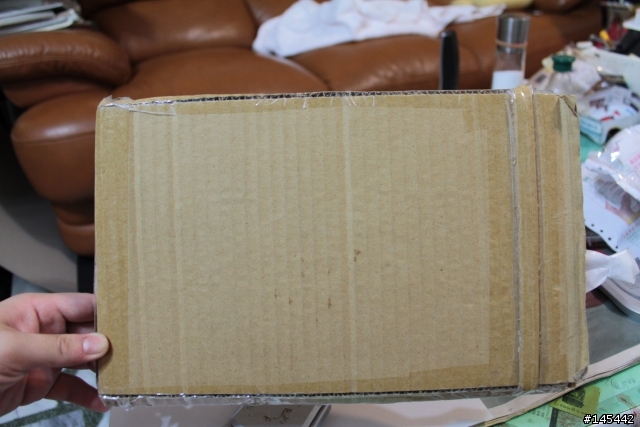 [開箱]Kindle DX Leather Cover 保護套終於飛來了!!