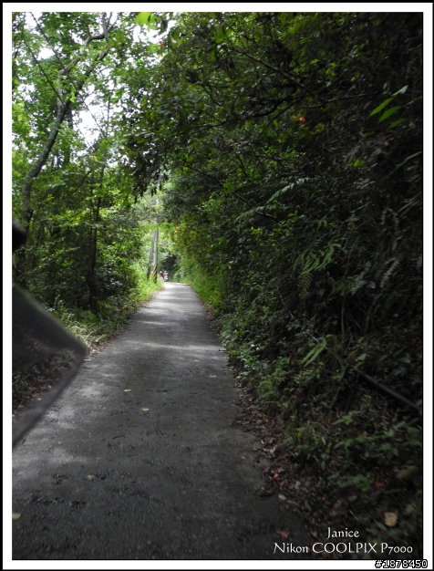 【０９０３ 力行-紅香 坎坷跑跑團】之路況好威猛
