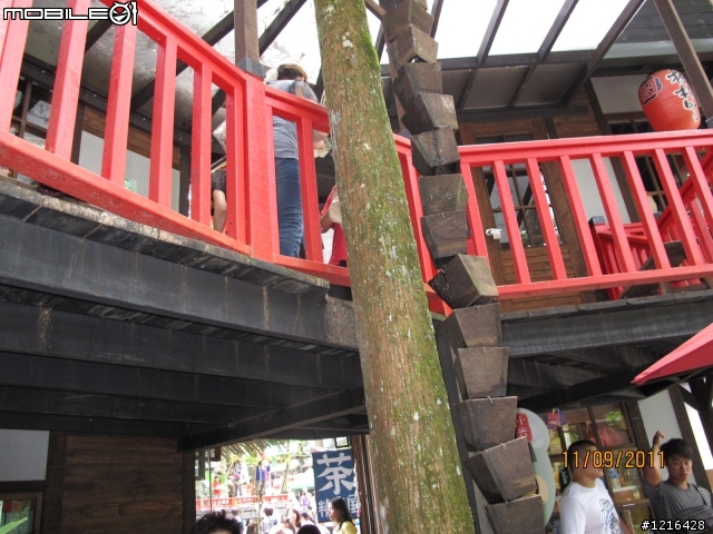 三陽之星 irx115第三篇 "咖稱必餅+愛睏"騎 （溪頭妖怪村）