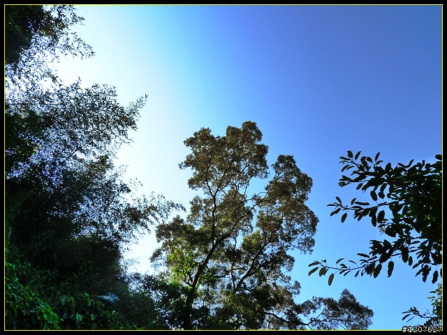 2011.09.11_再入獨立山鐵路隧道，驚見......