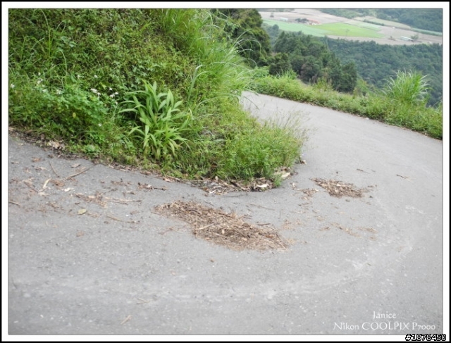 【０９０３ 力行-紅香 坎坷跑跑團】之路況好威猛