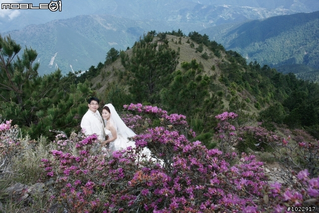 期待已久的高山攝影婚紗