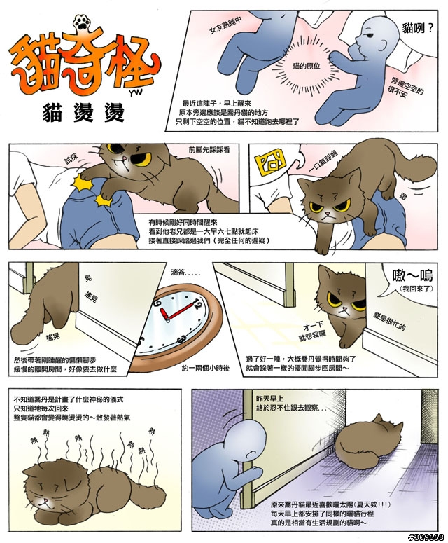 《貓奇怪》─貓燙燙