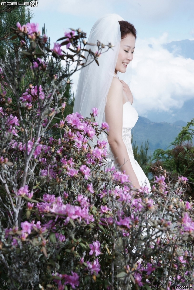 期待已久的高山攝影婚紗