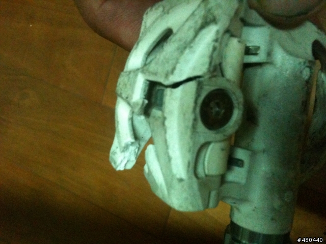 EXUSTAR卡踏開花了，有圖為真