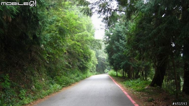 20110910藍魔鬼之台中大雪山林道騎遊