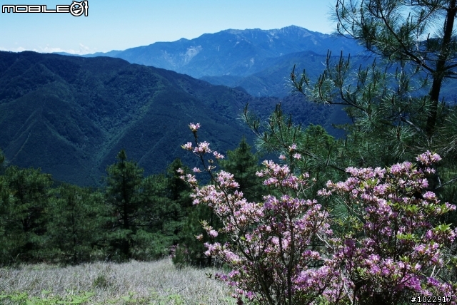 期待已久的高山攝影婚紗