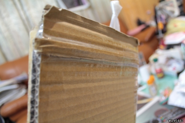 [開箱]Kindle DX Leather Cover 保護套終於飛來了!!