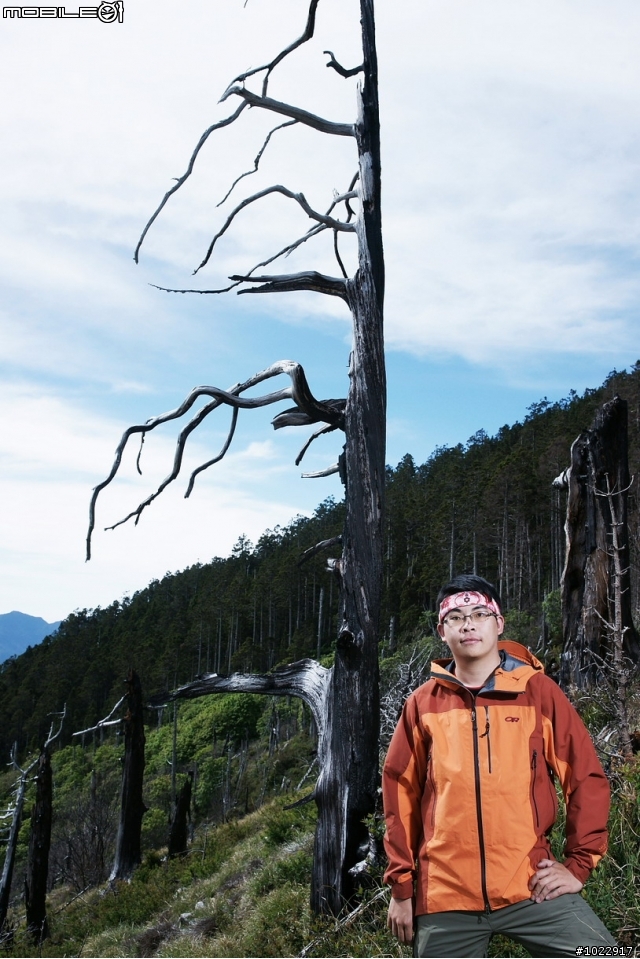 期待已久的高山攝影婚紗