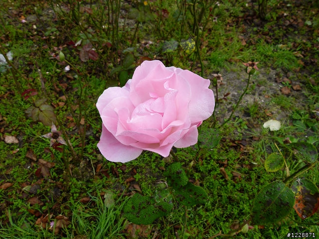 panasonic fz100 蓋大樓