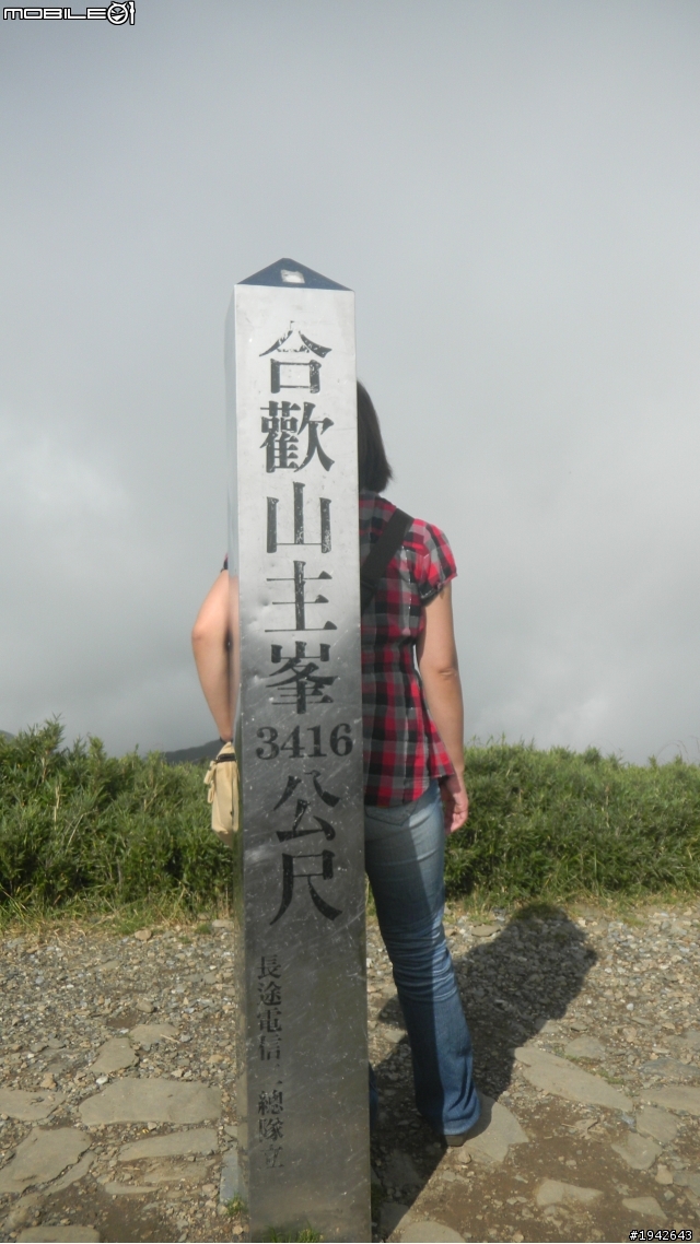 上山下海