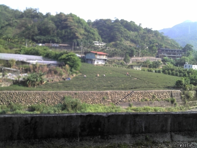 [ 分享 ] 坪林區大林里自行車步道 { 圖很多 } 加上敘述。