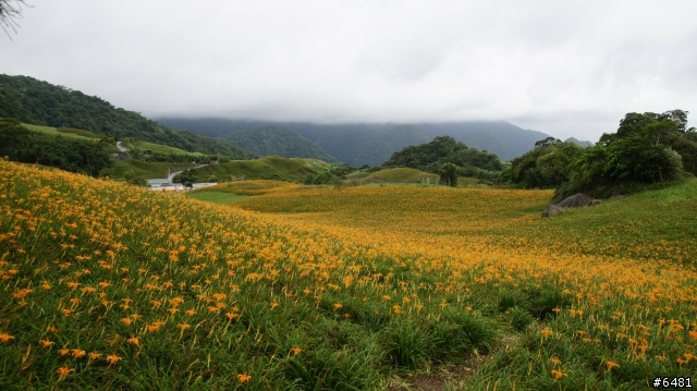花東+合歡山之旅