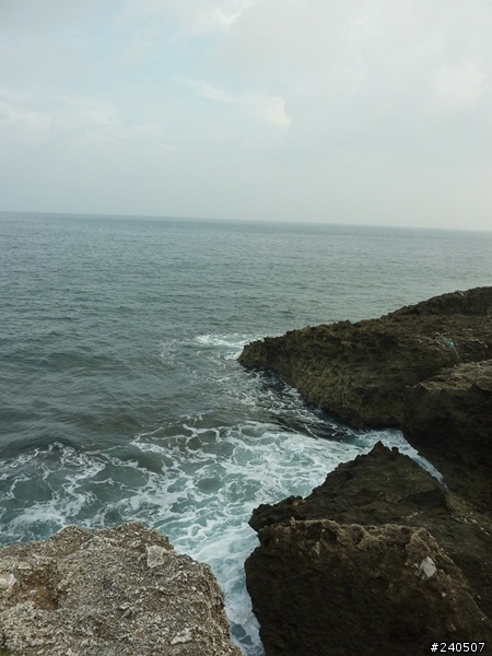 讓青春甩尾吧！七天六夜環島神奇之旅 Day 4 –在雲海中遇見花海！