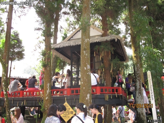 三陽之星 irx115第三篇 "咖稱必餅+愛睏"騎 （溪頭妖怪村）