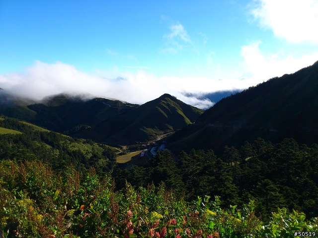 RAY_ 合歡山早晨 & 隨手拍